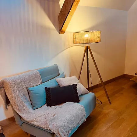 Maison Renovee 6 Pers Au Coeur Des Montagnes-lioran 別荘 *