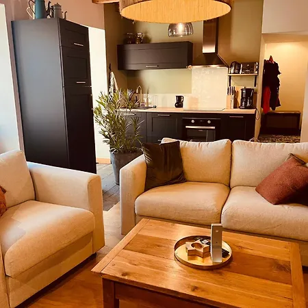 Maison Renovee 6 Pers Au Coeur Des Montagnes-lioran *