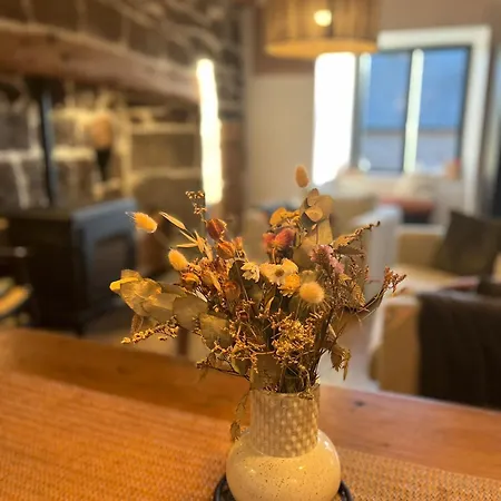 Maison Authentique Au Coeur Des Montagnes, 8pers Thiézac