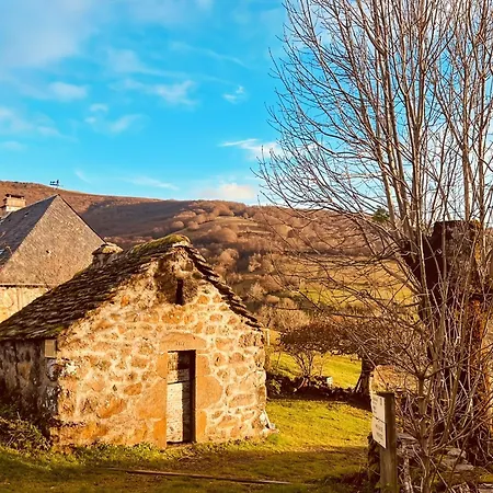 Maison Renovee 6 Pers Au Coeur Des Montagnes-lioran