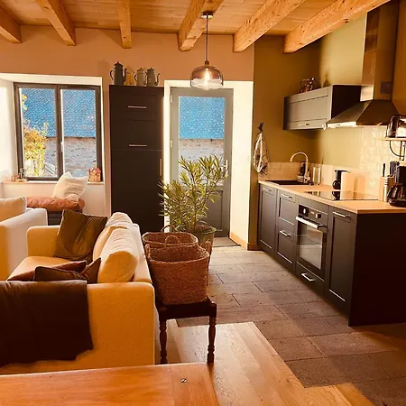 別荘 Maison Renovee 6 Pers Au Coeur Des Montagnes-lioran