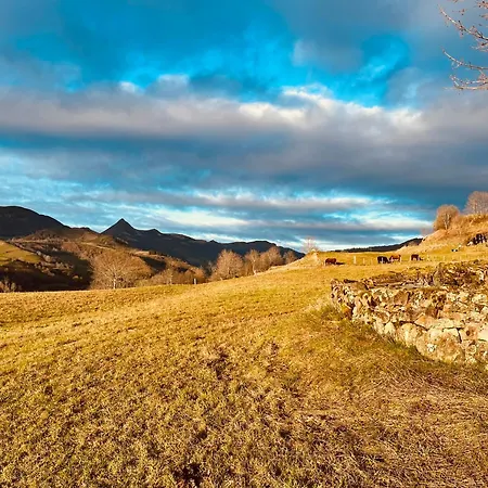 Maison Renovee 6 Pers Au Coeur Des Montagnes-lioran