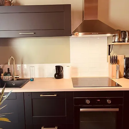 別荘 Maison Renovee 6 Pers Au Coeur Des Montagnes-lioran Thiézac